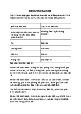 Đề cương cuối kỳ môn Báo chí đa phương tiện | Học viện Công Nghệ Bưu Chính Viễn Thông