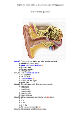 Phần IV chương giác quan - Tổng hợp Câu hỏi trắc nghiệm và đáp án môn Giải phẫu Trường Đại học Y Dược, Đại học Quốc gia Hà Nội