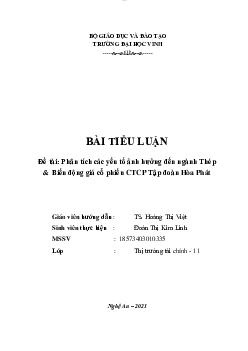 Tiểu luận "Phân tích các yếu tố ảnh hưởng đến ngành Thép & Biến động giá cổ phiếu CTCP Tập đoàn Hòa Phát"