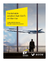 Ey saf whitepaper final - english | Đại học Văn Lang