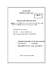 Xung đột pháp luật trong bảo hộ nhãn hiệu với tên thương mại, giải pháp hoàn thiện| môn luật kinh tế | trường Đại học Huế