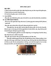 Bỏng thực quản - Xử trí được bỏng thực quản và các biến chứng