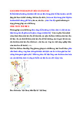 PHƯƠNG PHÁP NỀN CHẤT LƯỢNG TRONG ĐỊA LÝ VIỆT NAM