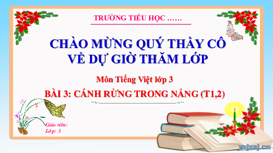 Bài 3: Cánh rừng trong nắng (Tiết 1,2) | Bài giảng PowerPoint Tiếng Việt 3 | Kết nối tri thức