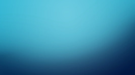 Chuỗi giá trị_CÁ TRA ĐỒNG BẰNG SÔNG CỬU LONG| BT Quản lý chất lượng toàn diện chuỗi cung ứng TP| Trường Đại học Bách Khoa Hà Nội