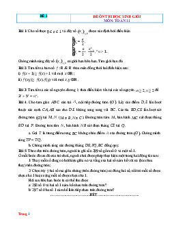 TOP 10 đề ôn thi học sinh giỏi Toán 11 năm 2023-2024 (có lời giải)