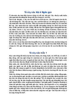 Tả cây sấu | Tập làm văn lớp 4
