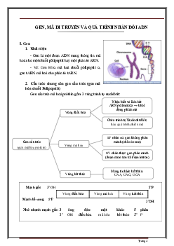 Tổng hợp lý thuyết trọng tâm sinh học 12 theo từng bài