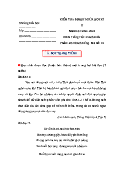 Đề thi Tiếng Việt giữa kì 2 lớp 4 sách Cánh Diều - Đề 1
