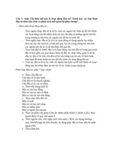 Tài liệu Tham Khảo về Hoạt Động Đầu Tư và Phân Tích | Môn Kinh tế đầu tư - Đại học Kinh Tế Quốc Dân