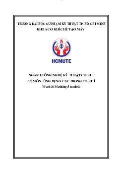 Bài tập môn Ứng dụng CAE trong cơ khí Week 3: Meshing 5 models