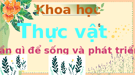 Giáo án điện tử Khoa học 4 Bài 15 Chân trời sáng tạo: Thực vật cần gì để sống và phát triển?