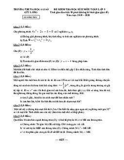 Đề kiểm tra học kì 2 Toán 9 năm 2019 – 2020 trường THCS Cửu Long – TP HCM