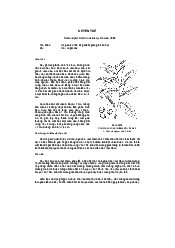 Dẻ yên thế - thực vật học | Đại học Lâm Nghiệp