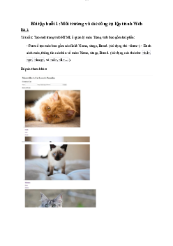 Bài tập Công cụ lập trình Web -  Tổ chức và cấu trúc máy tính II | Trường Đại học CNTT Thành Phố Hồ Chí Minh