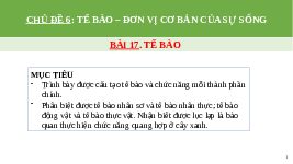 Giáo án điện tử Khoa học tự nhiên 6 bài 17 Chân trời sáng tạo : Tế bào