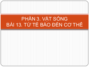 Chủ đề 7. Bài 13: Từ tế bào đến cơ thể | Bài giảng PowerPoint KHTN 6 | Cánh diều
