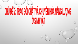 Giáo án điện tử Khoa học tự nhiên 7 bài 22 Chân trời sáng tạo : Vai trò của trao đổi chất và chuyển hóa năng lượng ở sinh vật