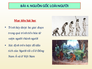 Giáo án điện tử Lịch Sử 6 KNTT - Bài 4 Kết Nối Tri Thức Với Cuộc Sống:  Nguồn gốc loài người.
