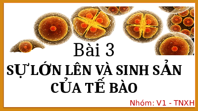 Bài 20. Sự lớn lên và sinh sản của tế bào | Bài giảng PowerPoint Khoa học tự nhiên 6 | Kết nối tri thức