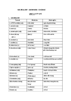 Vocabulary - Grammar - Excerise