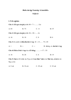 Phiếu bài tập cuối tuần lớp 2 Cánh Diều - Tuần 13 (nâng cao)