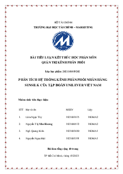 Tiểu luận "Phân tích hệ thống kênh phân phối của nhãn hàng Sunsilk"