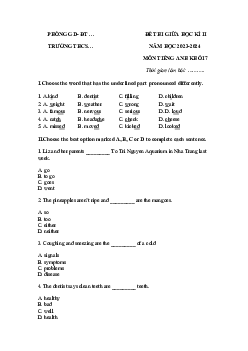 Đề thi giữa học kì 2 môn Tiếng Anh 7 năm 20233 - 2024 sách Cánh diều - Đề 2