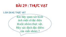 Giáo án điện tử Khoa học tự nhiên 6 bài 29 Chân trời sáng tạo : Thực vật