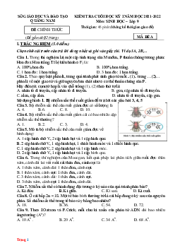 Đề Thi HK1 Sinh Học 9 Quảng Nam 2021-2022 (có lời giải)
