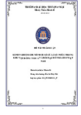 Kinh Nghiệm Chuyển Đổi Số Ở Đông Nam Á | Bài Thảo Luận chuyển đổi số trong kinh doanh