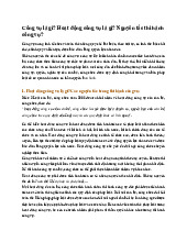 Công vụ là gì? Hoạt động công vụ là gì? Nguyên tắc thi hành công vụ?