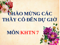 Giáo án điện tử Khoa học tự nhiên 7 bài 7 Chân trời sáng tạo : Hoá trị, công thức hoá học
