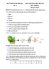Đề thi thử tốt nghiệp THPT 2025 môn Sinh học bám sát đề minh họa - Đề 24