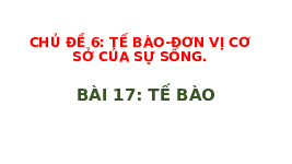 Giáo án điện tử Khoa học tự nhiên 6 bài 43 Chân trời sáng tạo : Chuyển động nhìn thất của Mặt Trời