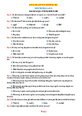 Đề Cương Ôn Tập Cuối Học Kỳ 1 Tin 11 Cánh Diều 2025-2026
