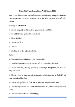 Soạn bài: Thực hành tiếng Việt trang 111 Ngữ Văn 8 | Cánh diều