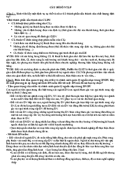 Câu hỏi ôn tập Nguyên lý Marketing có đáp án chi tiết
