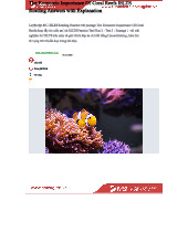 IELTS Reading Practice: The Economic Importance of Coral Reefs