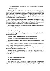 Thổ nhưỡng là gì? Đặc điểm, vai trò và những yếu tố hình thành thổ nhưỡng