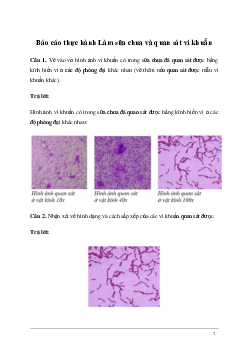 Giải KHTN Lớp 6 Bài 28: Thực hành: Làm sữa chua và quan sát vi khuẩn | Kết nối tri thức
