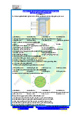 Đề cuối kì y khoa | Đại học Y khoa Phạm Ngọc Thạch