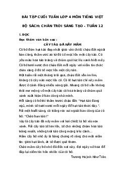 Bài tập cuối tuần tiếng Việt lớp 4 Chân trời sáng tạo Tuần 12 cơ bản