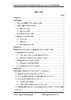 Luận văn "Phân tích hiệu quả hoạt động kinh doanh của Công ty CP ANGIMEX"