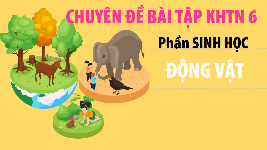 Giáo án điện tử Khoa học tự nhiên 6 bài 31 Chân trời sáng tạo : Động vật