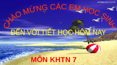 Giáo án điện tử Khoa học tự nhiên 7 Bài 9 Cánh diều: Sự truyền âm