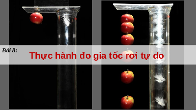 Giáo án điện tử Vật lí 10 Bài 8 Chân trời sáng tạo: Thực hành đo gia tốc rơi tự do