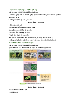 Giải Khoa học tự nhiên lớp 6 - bài 25: Hệ thống phân loại sinh vật | Kết nối tri thức