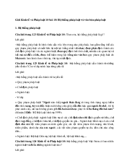 Giải Kinh tế và Pháp luật 10 bài 18: Hệ thống pháp luật và văn bản pháp luật CTST