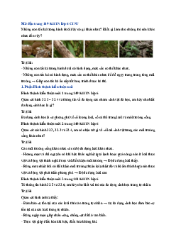 Giải sách giáo khoa môn Khoa học tự nhiên 6 Bài 33: Đa dạng sinh học | Chân trời sáng tạo